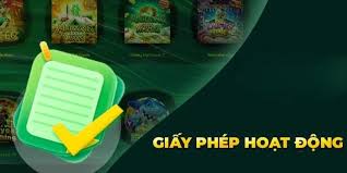 vai trò của giấy phép hoạt động