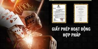 sự quan trọng của giấy phép hoạt động