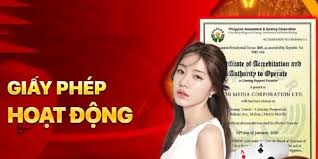 khái niệm về giấy phép hoạt động